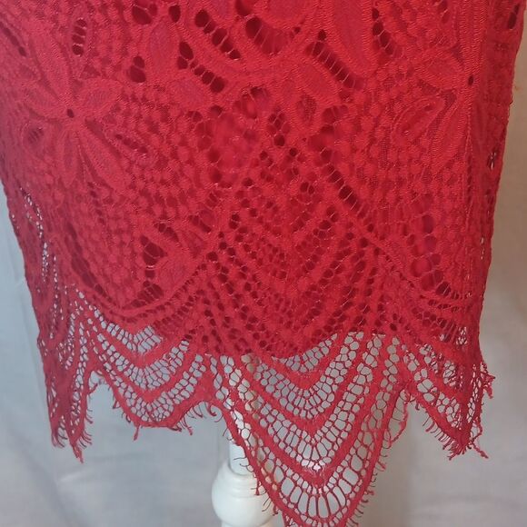 Elegant Red Bodycon Lace Dress - Picture 8 of 10